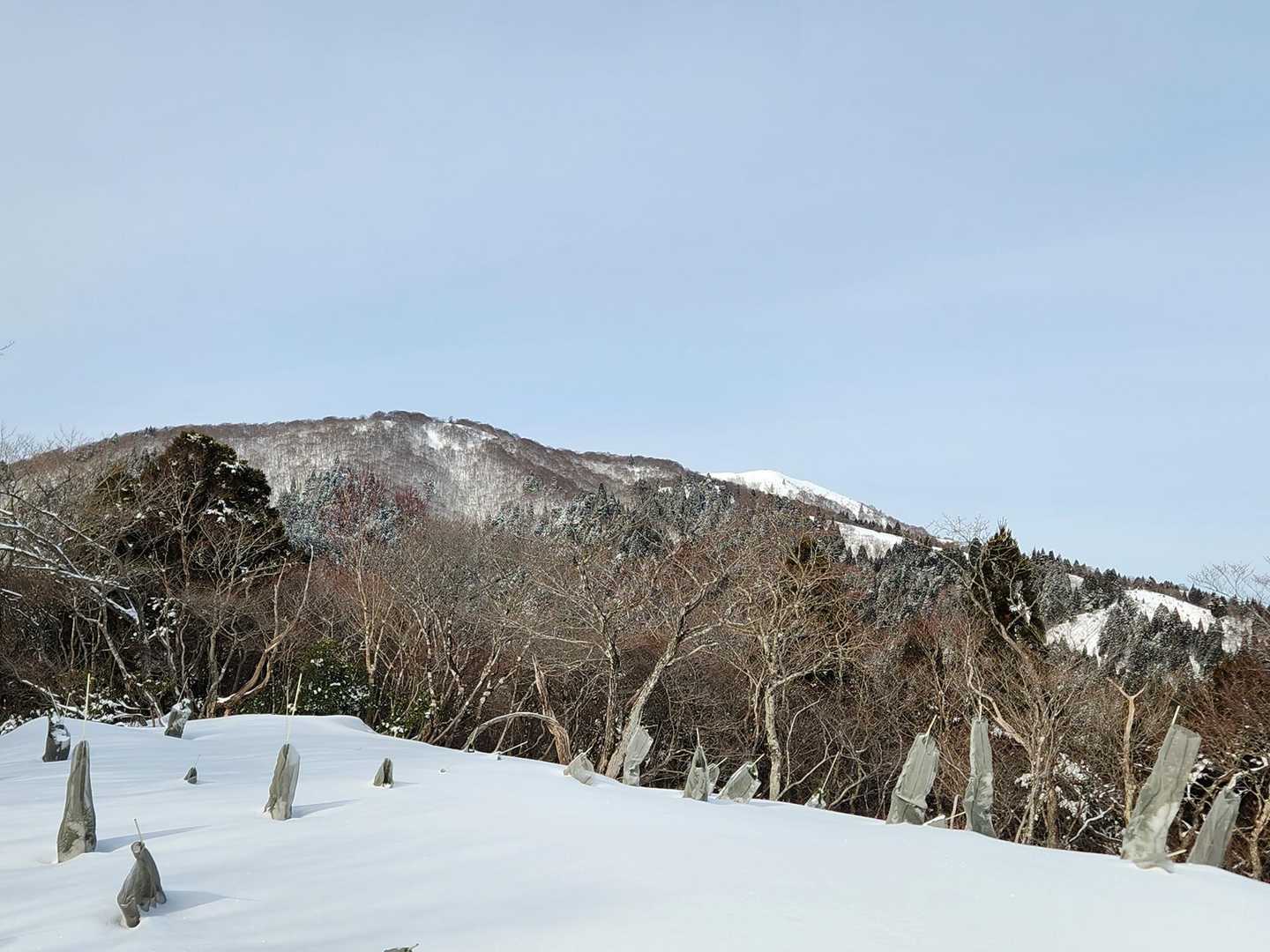 前山から望むコヤマノ岳と武奈ヶ岳
