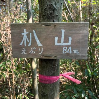 朳山山頂到着❗️
短い時間でしたが、汗をガンガン流してリフレッシュできました
良いことがたくさん舞い降りるよう、日々を楽しみます☺️