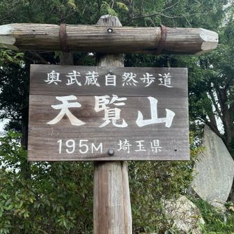 あっという間に天覧山登頂