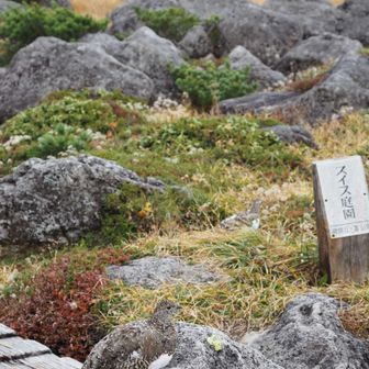 何枚も撮ってしまう…