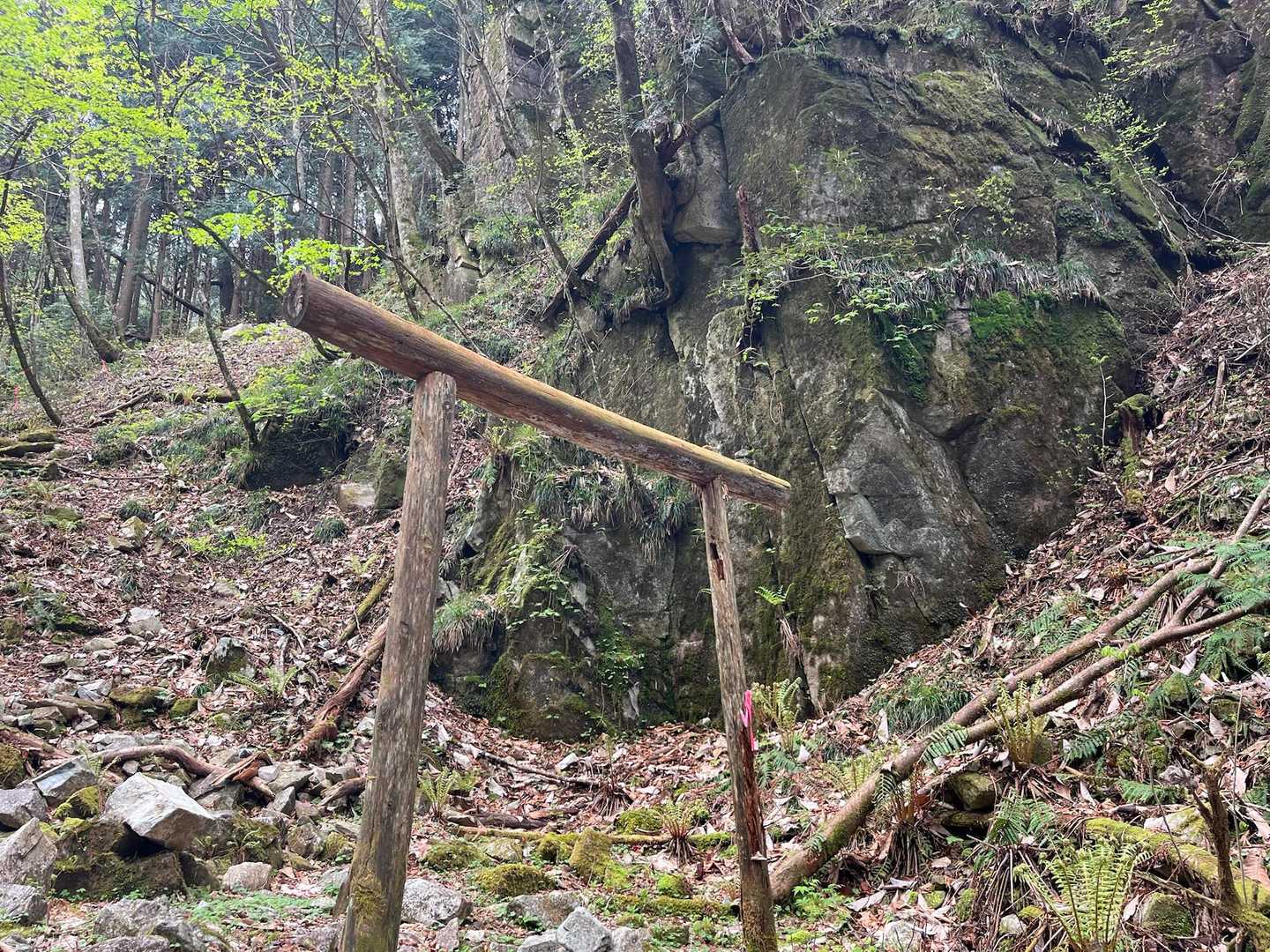 なんの変哲もないとこで⛩️がさすがに信仰の山🤓
