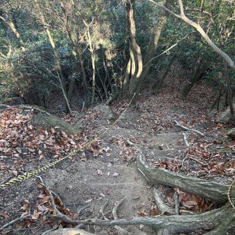 ここは急降下するので注意⚠️