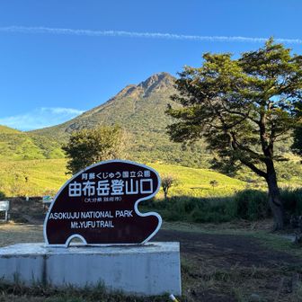 登山口