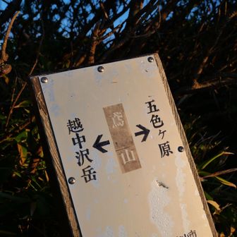 山荘から30分程の登りで着く鳶山はだーれも居なくて、私達の貸し切り特等席でした✨