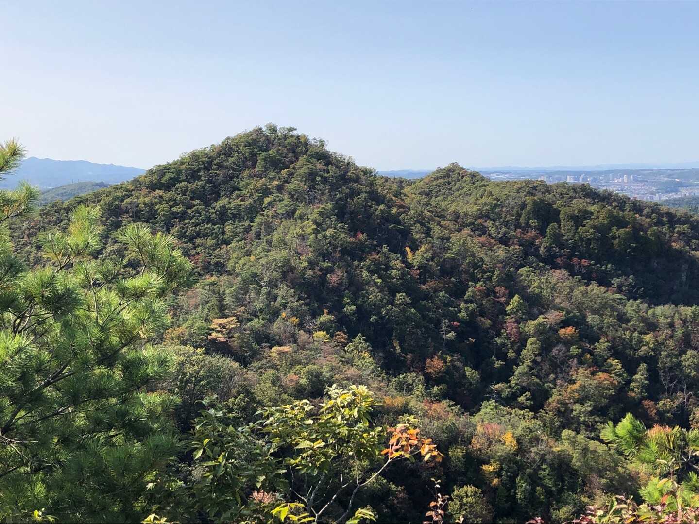 大岩ヶ岳の写真