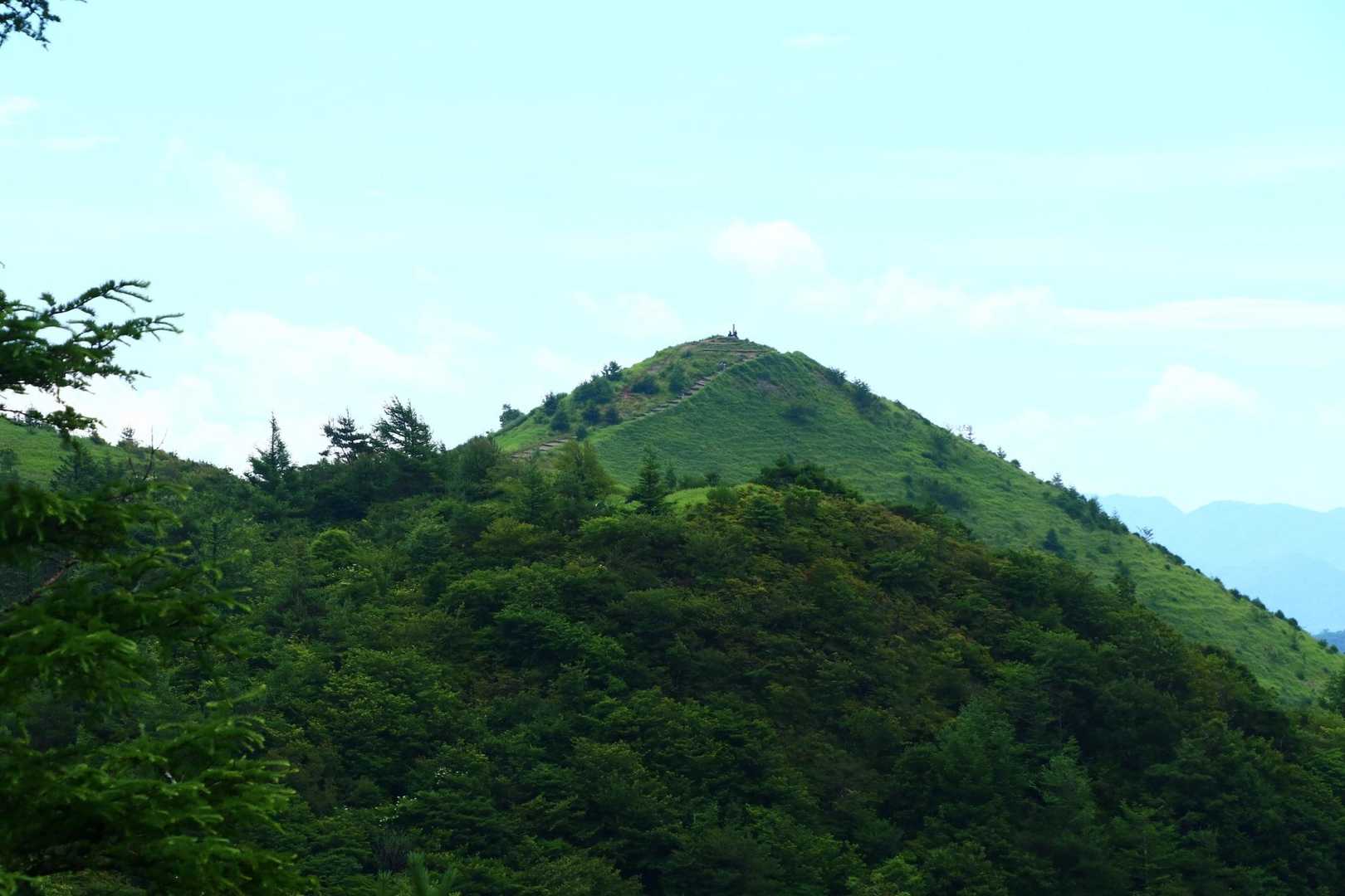 あれが山頂かな？