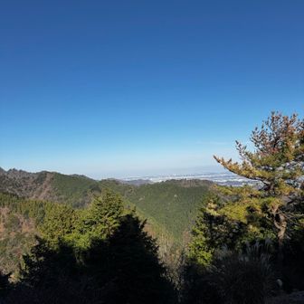 中央↓付近で火災らしく、煙も出ていなかった。