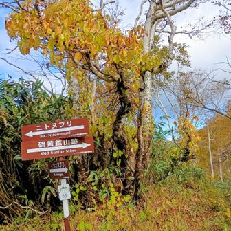 硫黄鉱山跡地・ニトヌプリ分岐