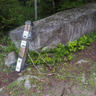 誰かが支え棒