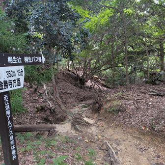 桐生辻方面へ　ぬかるみあり