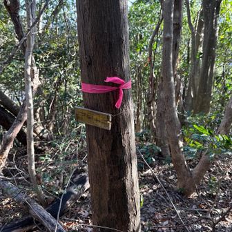 中嵐山に到着。