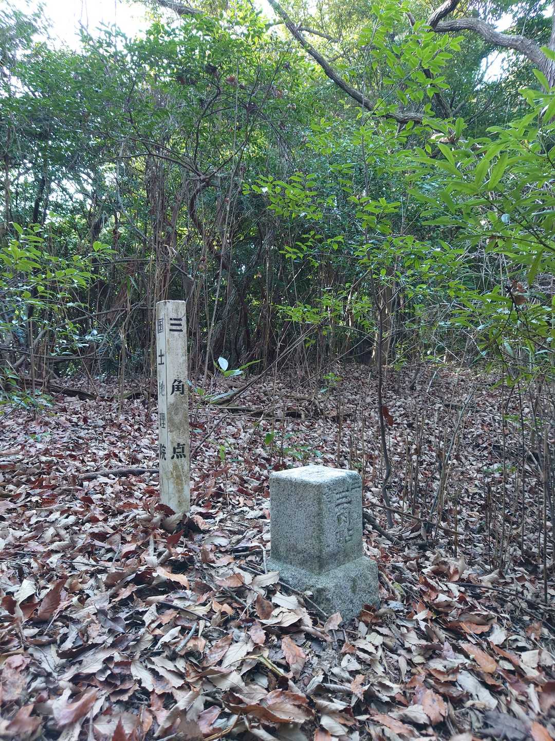 着きましたよ🙆
根本山山頂です。山名板は無いですが、三等▲が有ります。
展望は全然期待出来ません｡