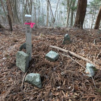 三角点　保呂羽