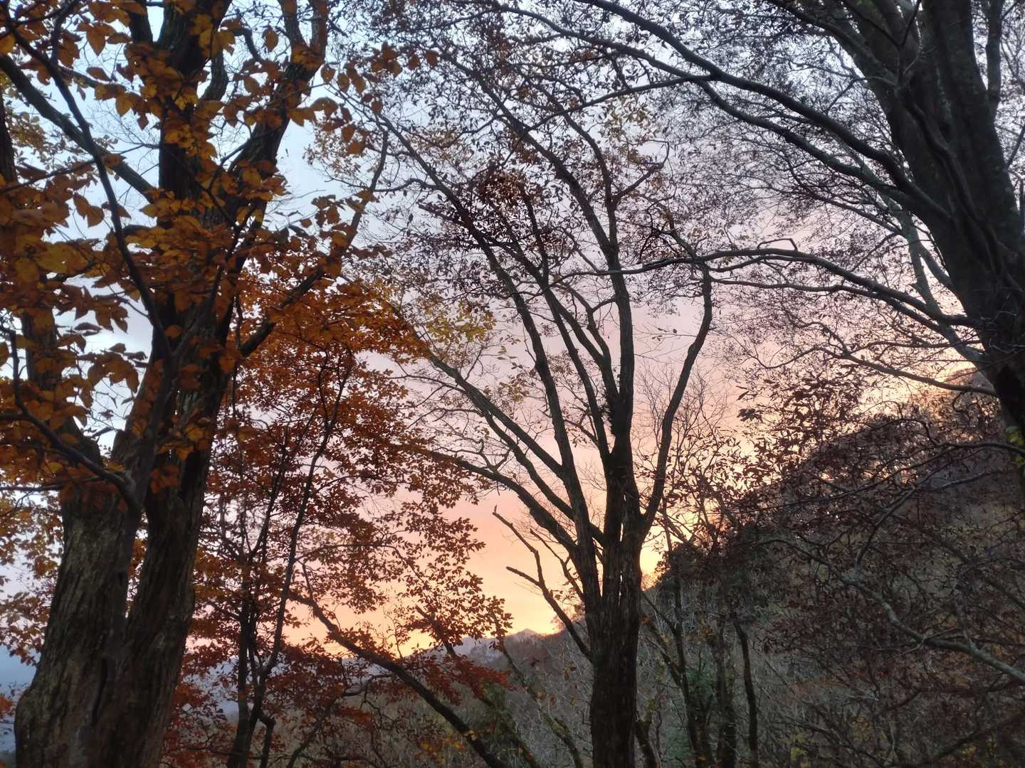 茜色の空
