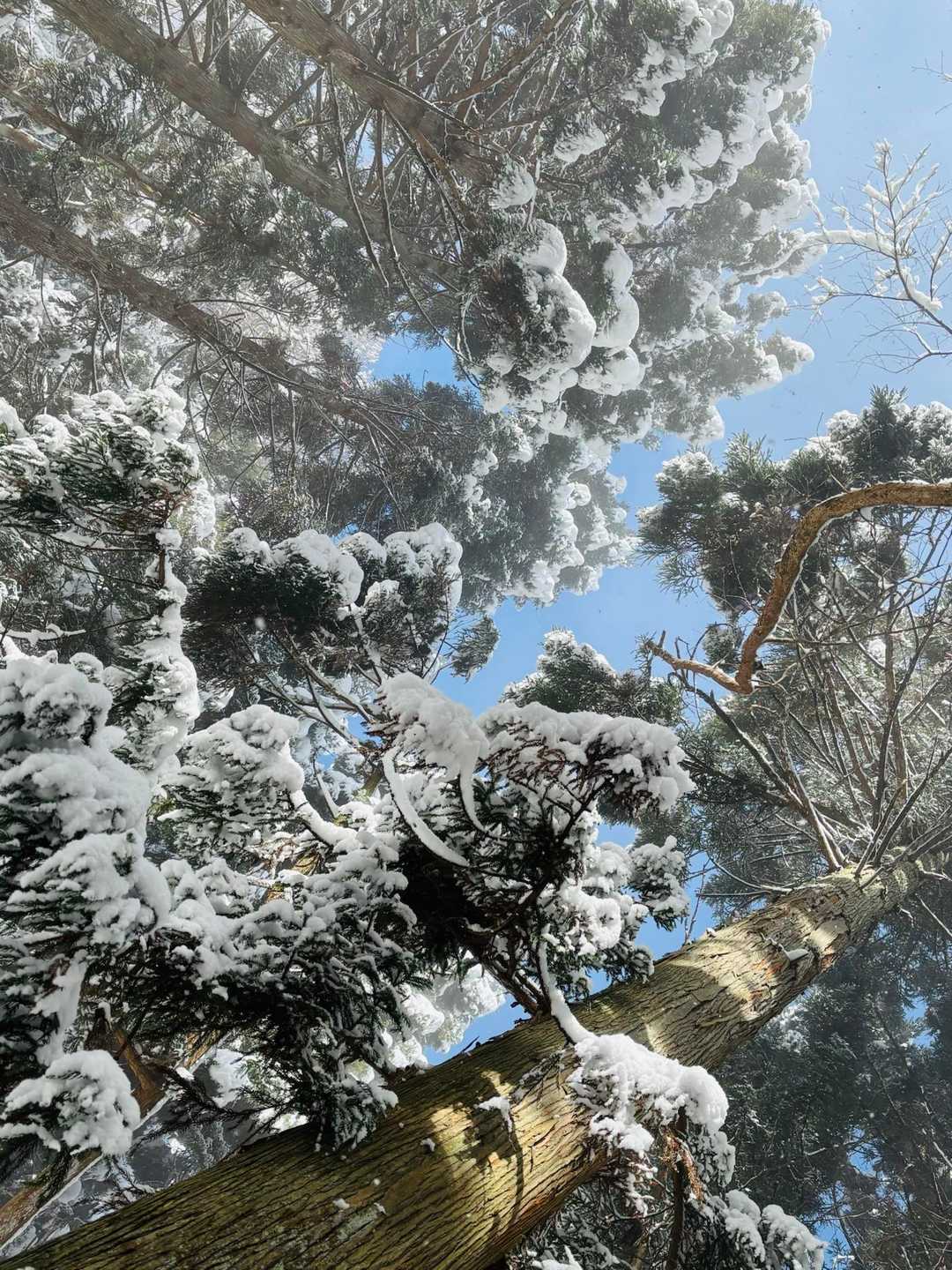 やっと青空が見えた
