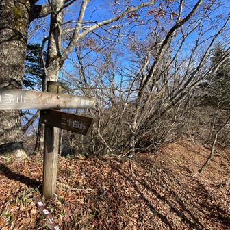 子ノ神近くの稜線へ到着、まずは鹿留山へ向かいます