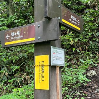 三股登山口まで、無事に下山👏