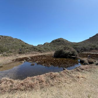 ハートに見えるってかいてあったんだけどなあ、見えないなあ🫥