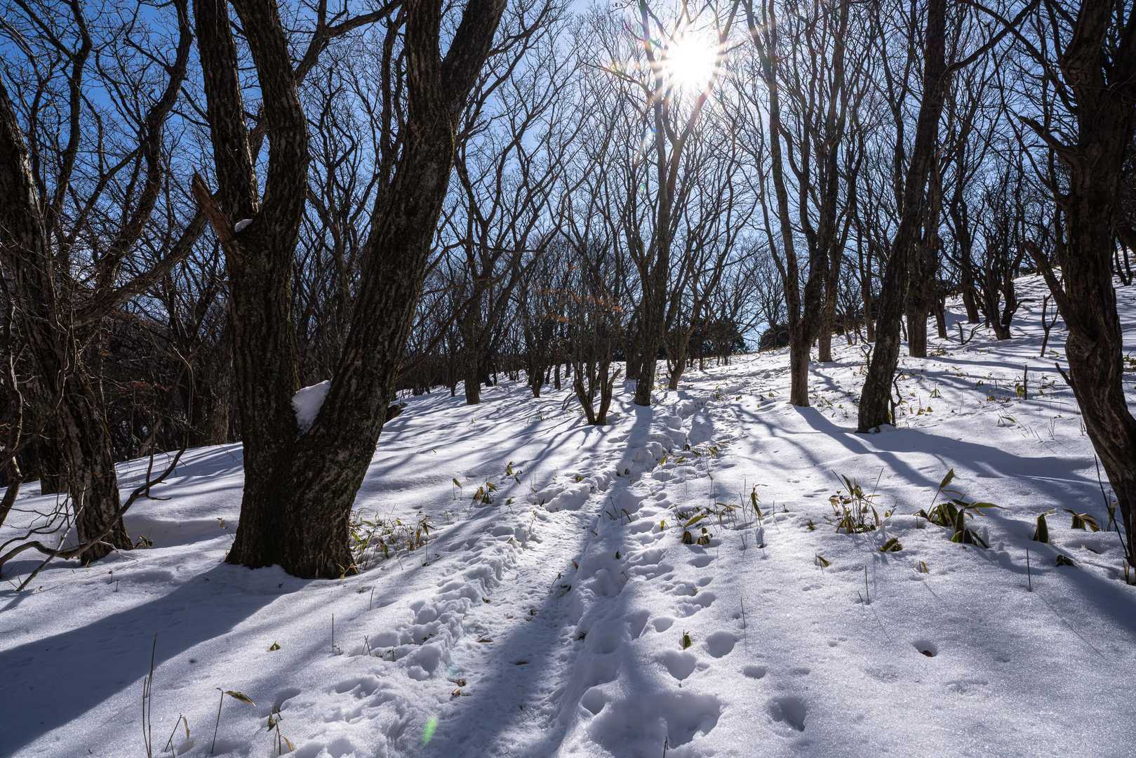 稜線に抜けると一気に雪景色！