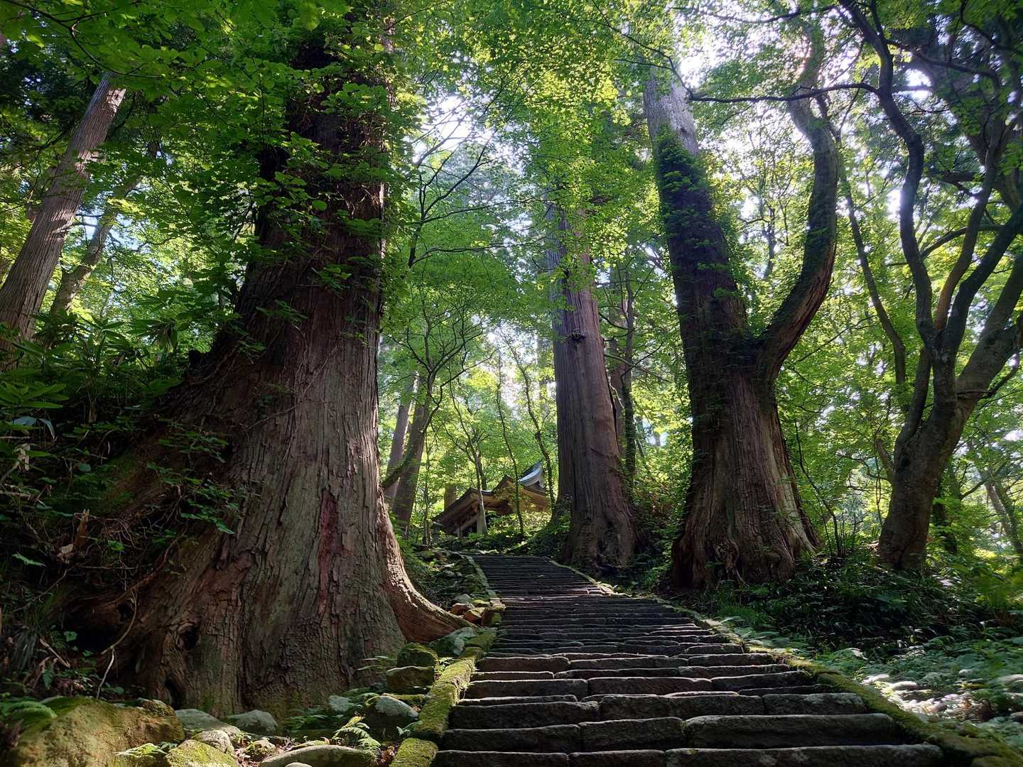 神秘的な空気の中で心を清める😌