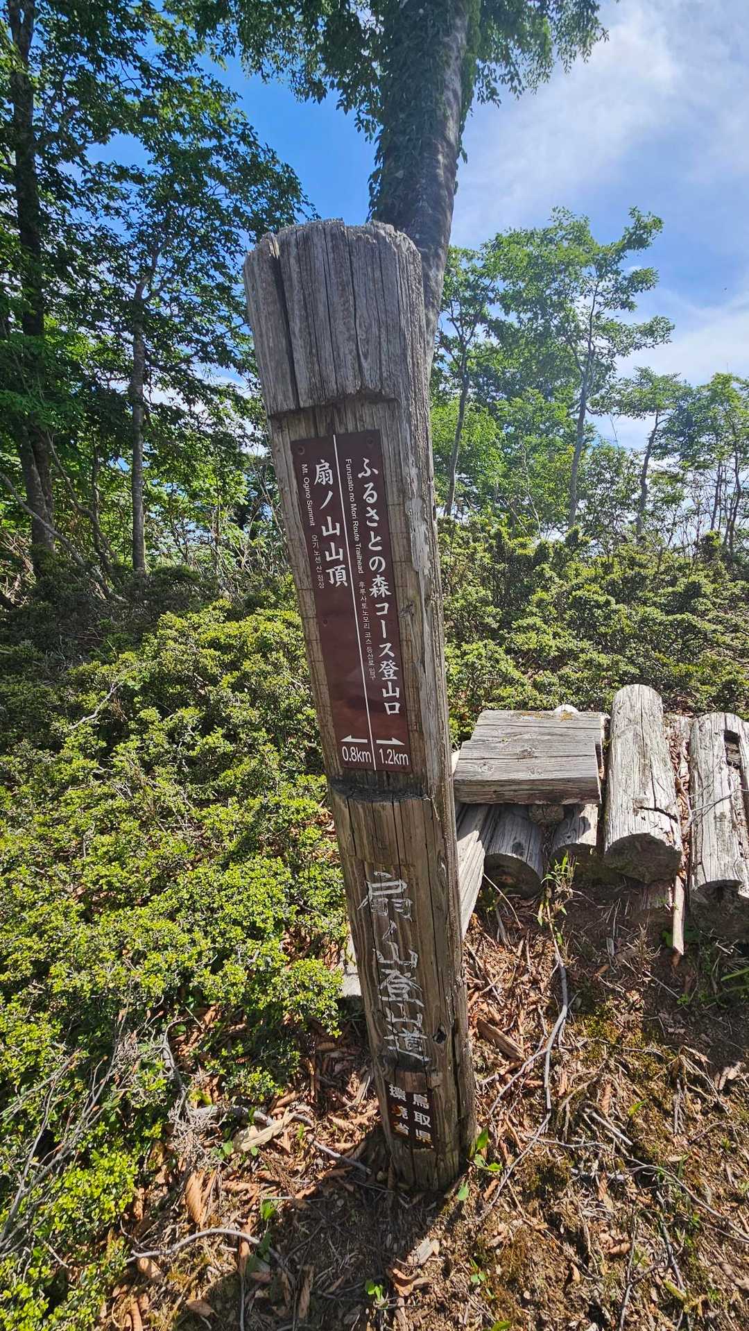 もう山頂まで800mだ❗😀