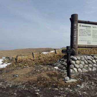 帰りは湿原の方へ