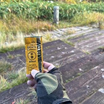 地元の和菓子屋で買った、アクティブようかん。
干し芋味🍠
めちゃくちゃ干し芋🍠
身体に糖分が叩き込まれた👍