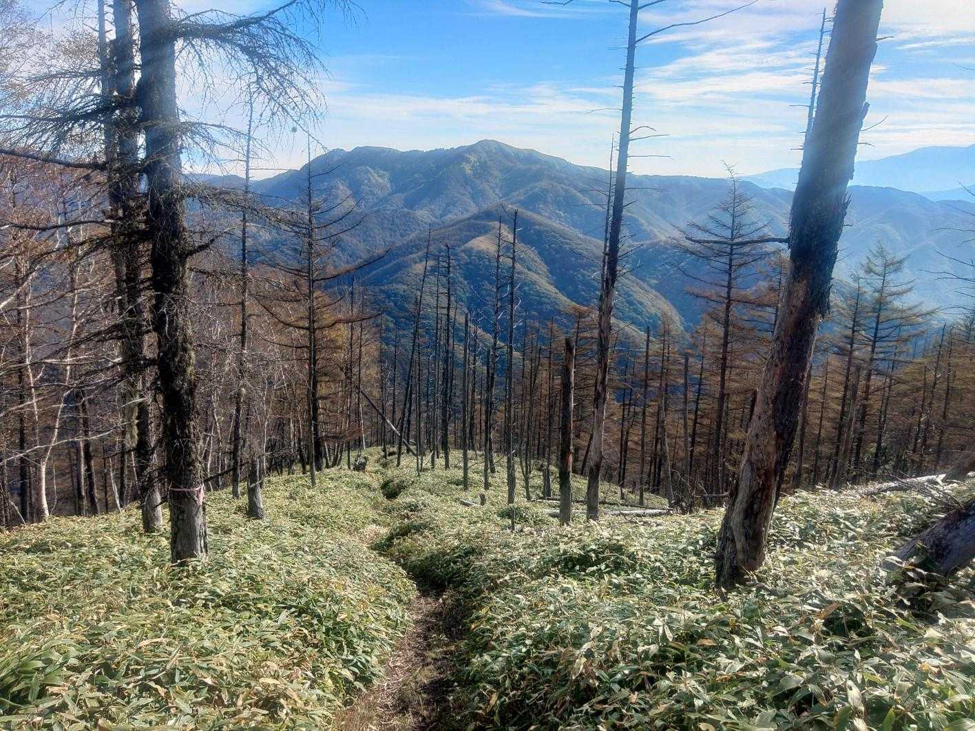 三峰山-二ッ山 往復コースの写真