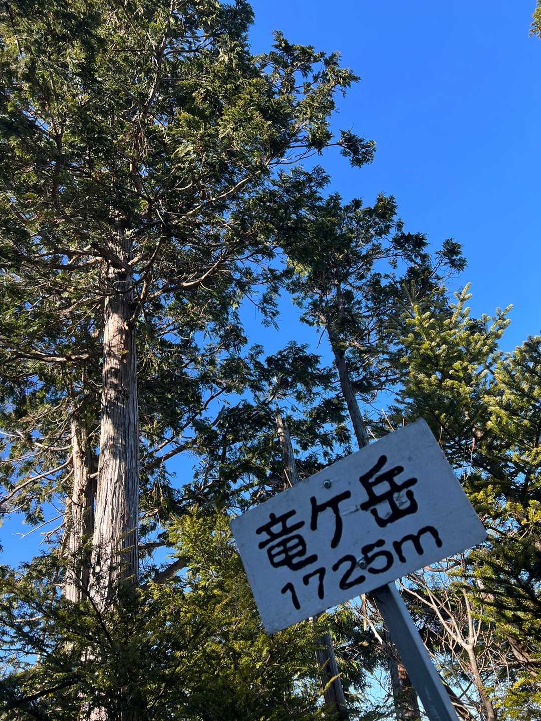 戻る途中にルートを離れて、少し寄り道🎶
