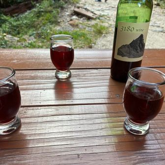 ワイン🍷もいただきます！最終日前を楽しみます♪