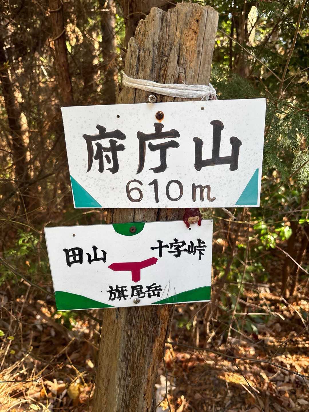 府庁山、やっとこさ着いたわ
