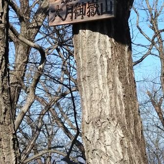 山名板⑦編集に慣れず順不同です
ご覧いただきありがとうございました😊