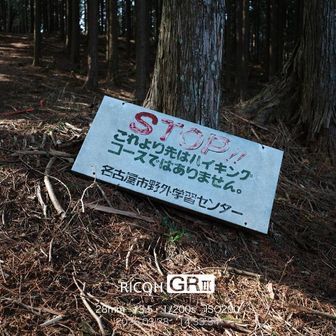 ハイキングコースはここまで。進みます。