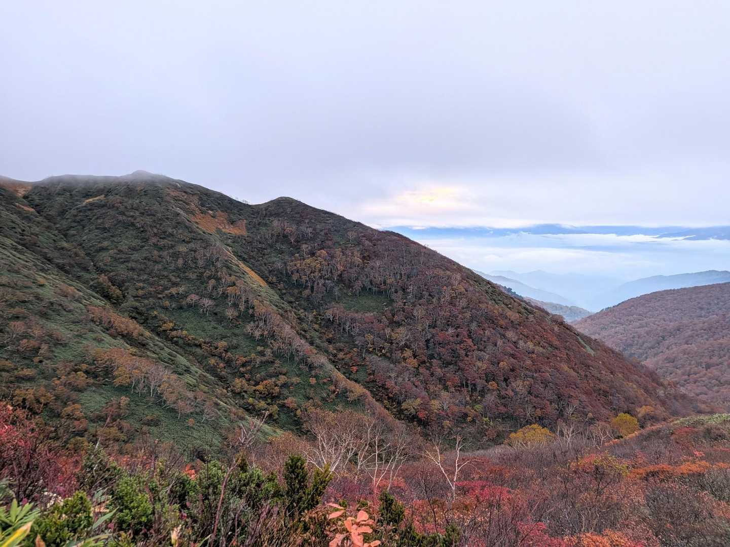 白毛門登山口-松ノ木沢ノ頭-白毛門-笠ヶ岳-大烏帽子-朝日 周回コースの写真