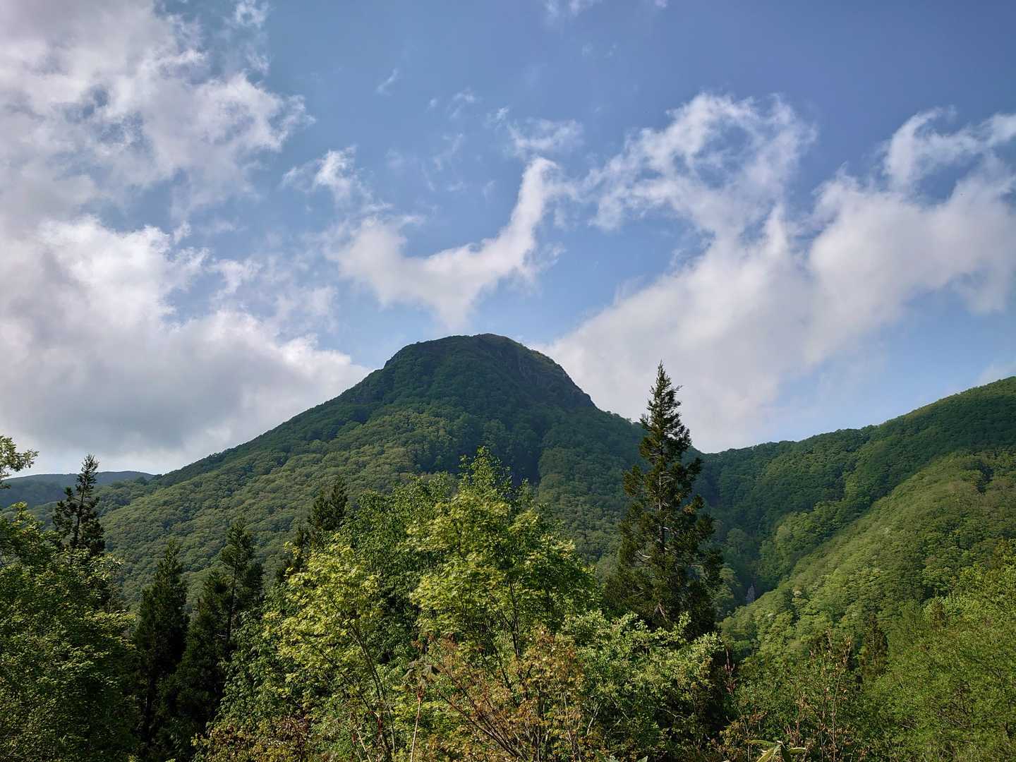 林道てくてく中、柴倉山‼️☺️
