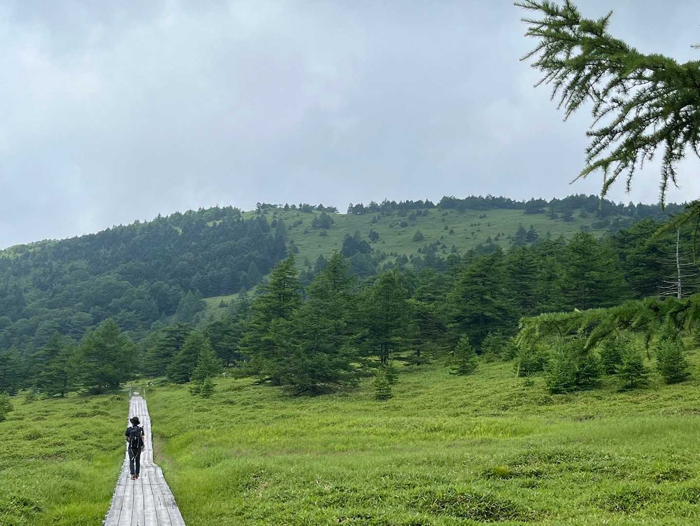 池ノ平湿原入口-雷の丘-雲上の丘-見晴岳-三方ヶ峰-鏡池 周回コースの写真