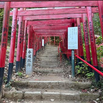 朱塗りの鳥居が並んでます