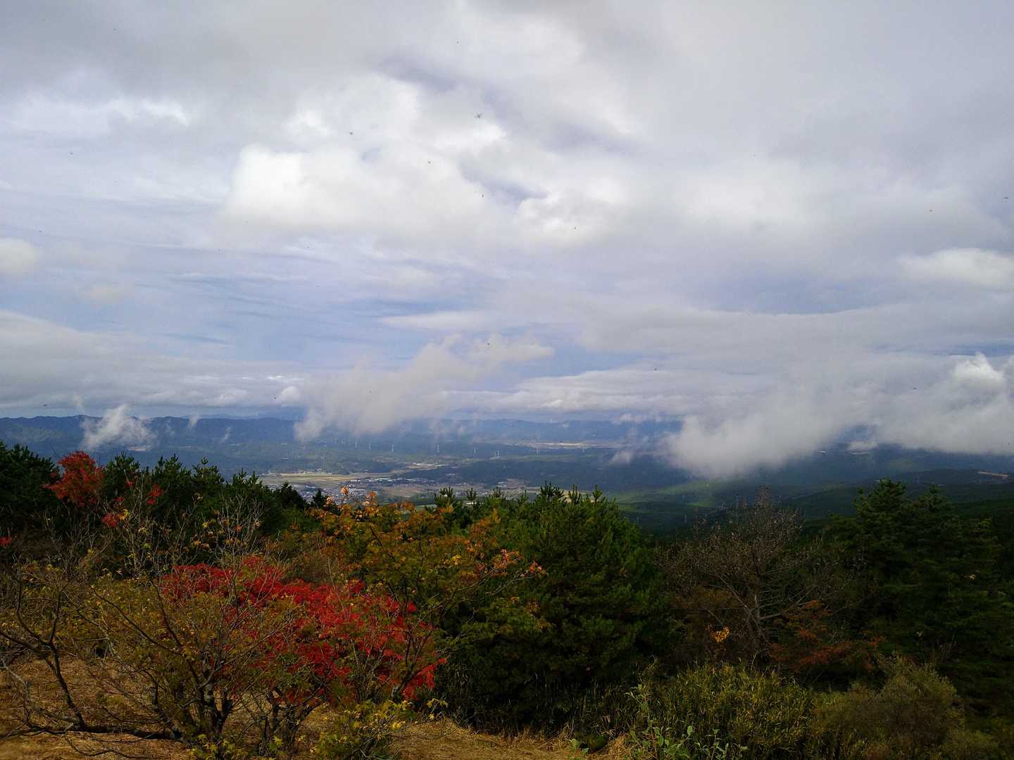 お天気もって良かった〜🥺