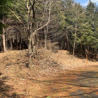 ここから左に入り、五万石へ向かいます。