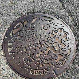 當麻のマンホール可愛い〜