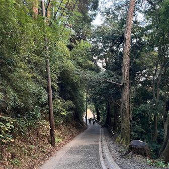 下山はいつも通り人少なくて気持ち良く歩く

リフト乗り場のあたりで係員に「ケーブルカーとリフトと何が違うんですか？」と聞いてるおばさんがいた

登山靴を履くのはいつになりますか
ゆっくり少しずつ、、

ご覧いただきありがとうございました😊