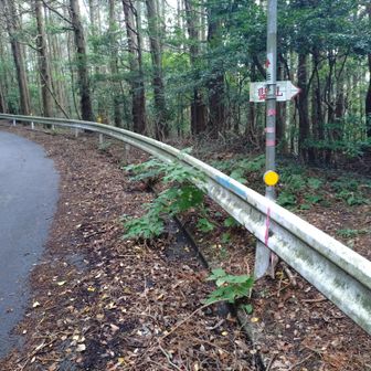 右に行けって、入るとこないやん🫪よっこいしょ