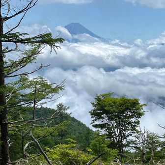 富士山✭