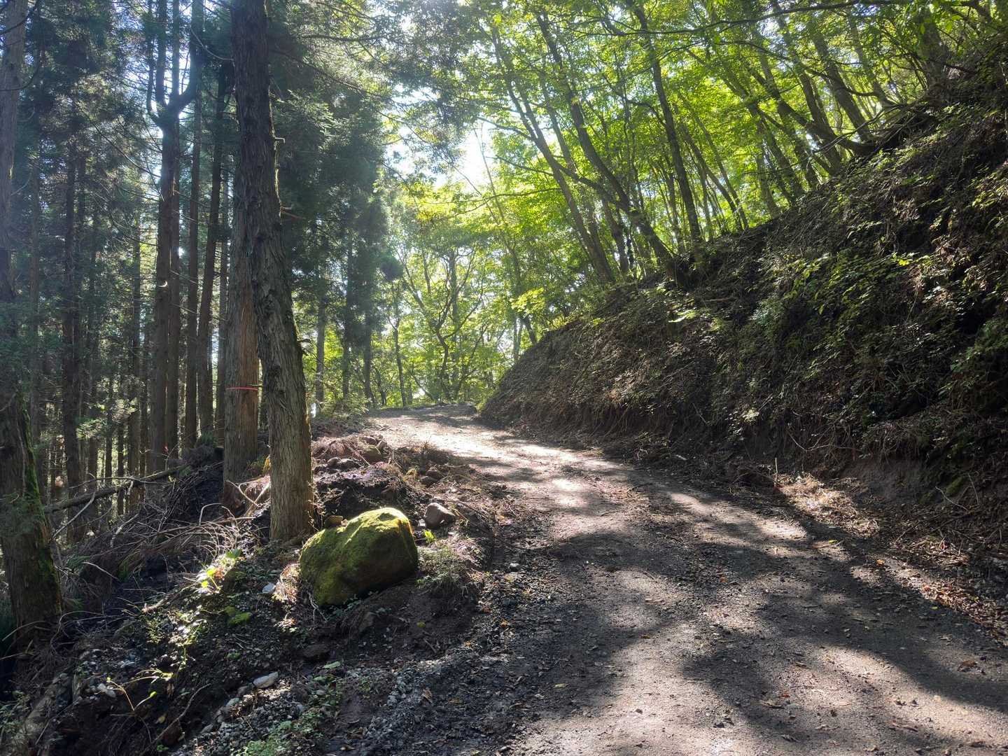 花牟礼山に続き林道を歩く🚶
たまにはこんな登山も良いよね✨