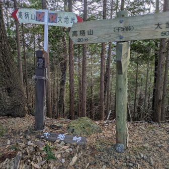 千足峠に到着。
稜線に乗りました。それでもアップダウンが結構あります。