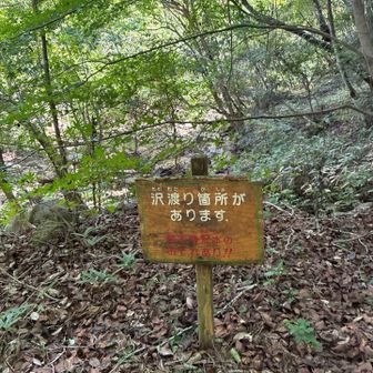 途中、道を外れて藪に絡まる😓、