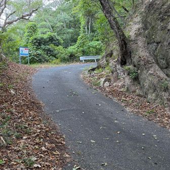 一旦車道へ、暑いと体力の消耗が激しい💦
