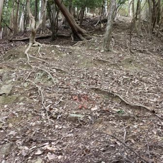 始まりました…
始まっています…
始まってしまいました…
かなりの勾配の道で小休止の繰り返しでヨレヨレになった🥵😭