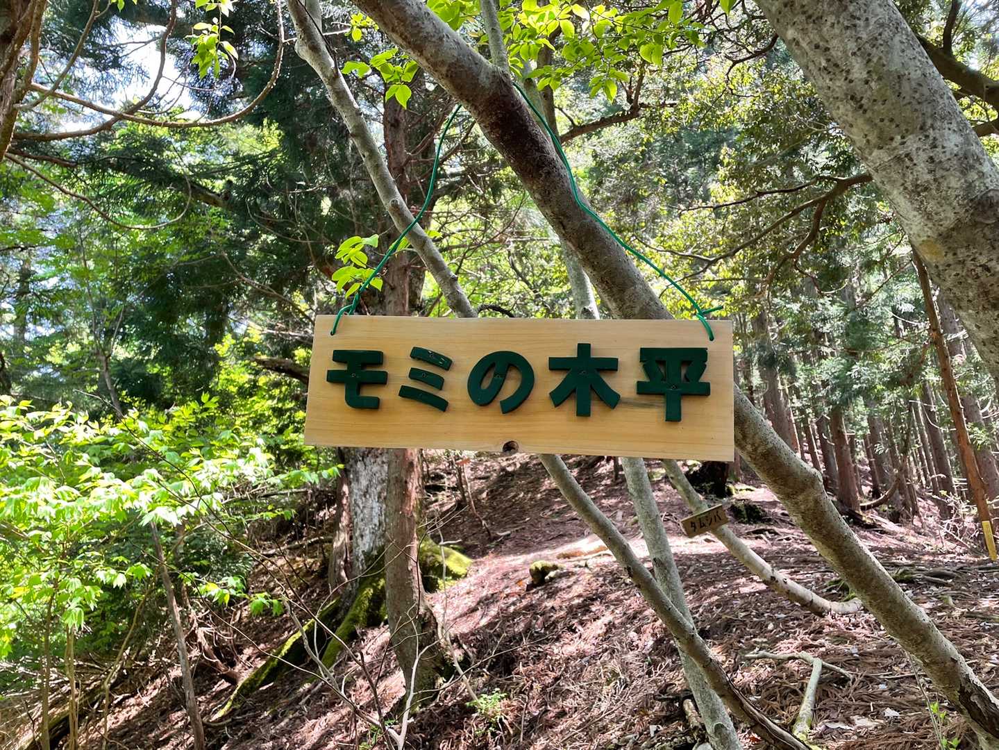 花房山 往復コースの写真