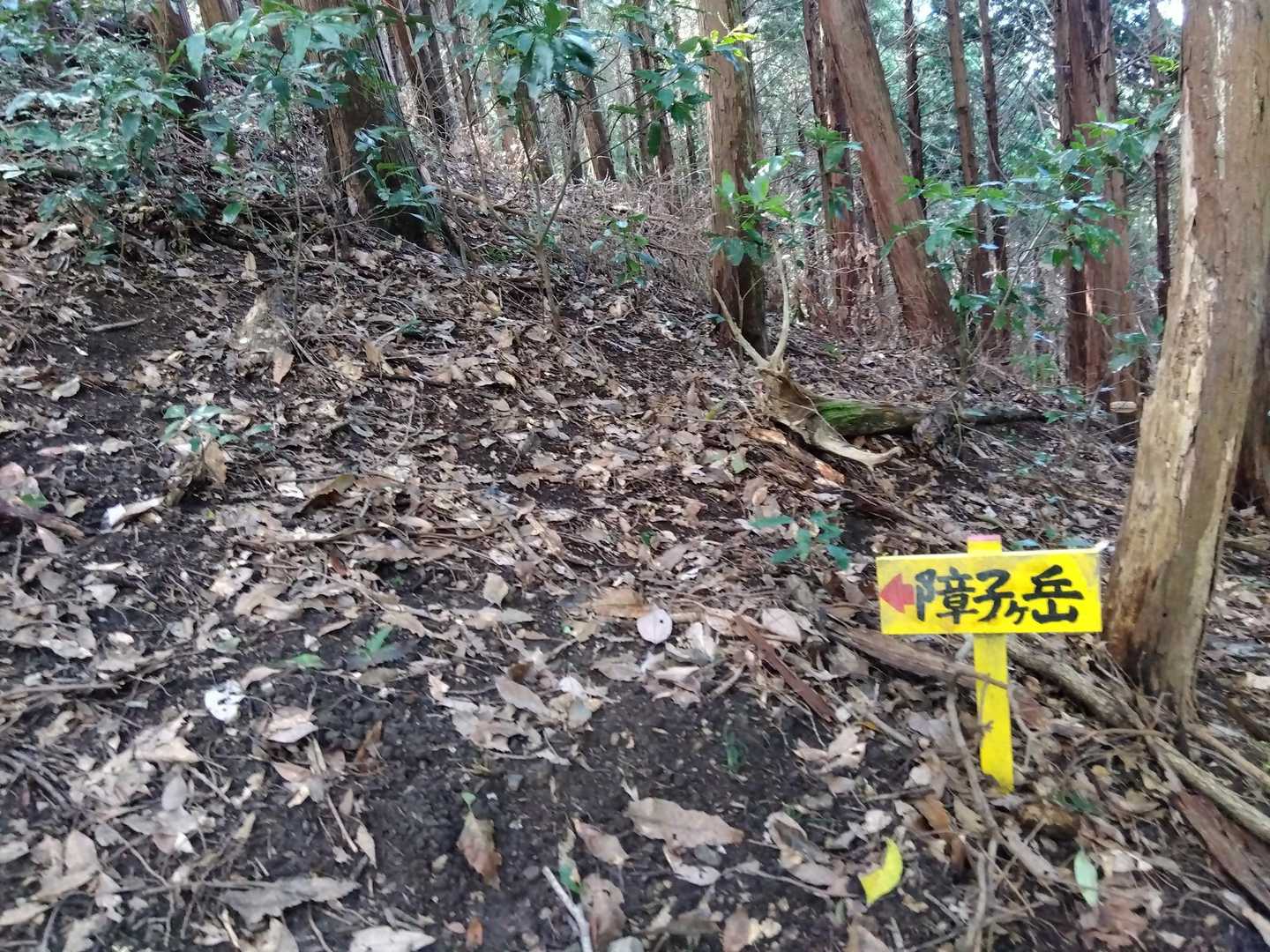 ココから先も…急斜面…😅